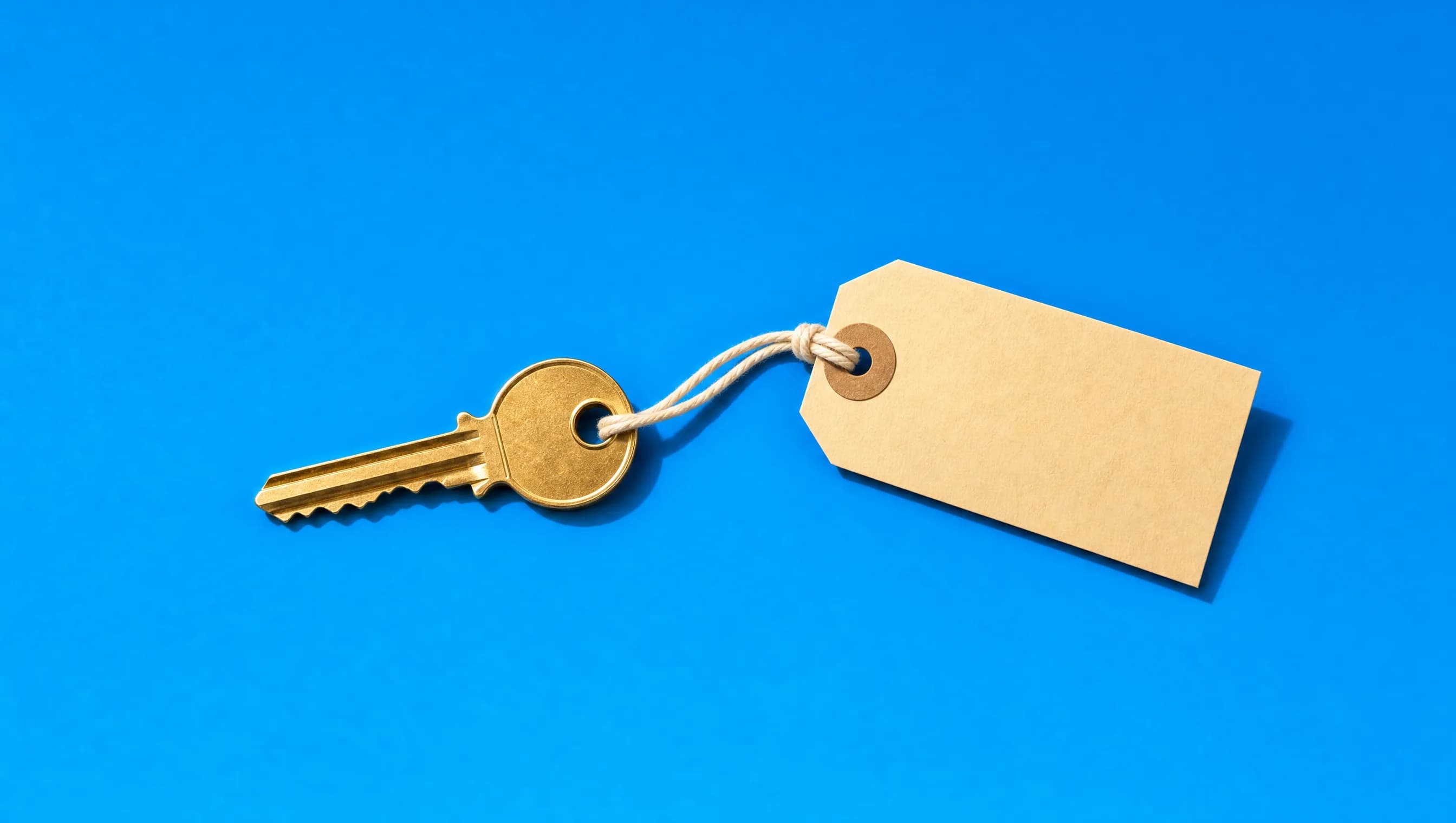 Vesting is ownership: The property risk a trustee in bankruptcy carries personally